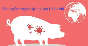 Tuyên truyền về bệnh dịch tả lợn Châu Phi