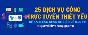 25 dịch vụ công thiết yếu triển khai theo Đề án 06