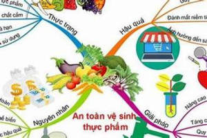 Đảm bảo vệ sinh an toàn thực phẩm Dịp Tết Nguyên Đán Giáp Thìn 2024