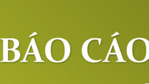 bao cáo