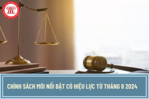 Chính sách mới nổi bật có hiệu lực từ đầu tháng 8/2024