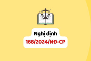 Nghị định 168/2024/NĐ-CP quy định xử phạt vi phạm hành chính...